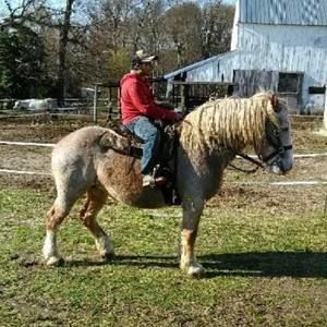 Meet your Posher, Axel